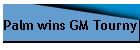 Palm wins GM Tourny